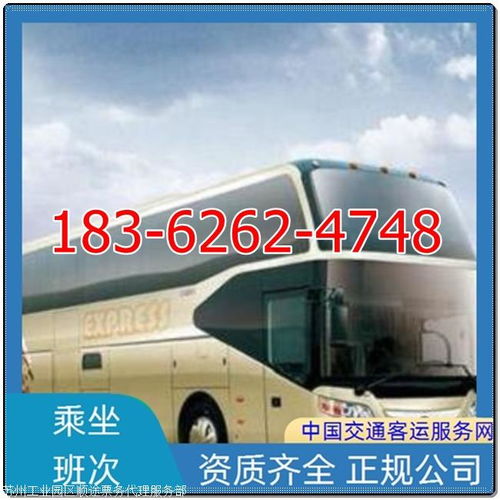 2025年南京至湛江长途客车班次排名及票务代理服务指南